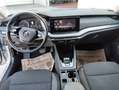 Skoda Octavia 4x4 Ambition TDI DSG Argent - thumbnail 12