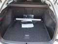 Skoda Octavia 4x4 Ambition TDI DSG Argent - thumbnail 23