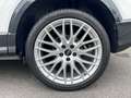 Audi Q2 35 TDI Advanced S tronic 110kW Blanco - thumbnail 24