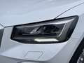 Audi Q2 35 TDI Advanced S tronic 110kW Blanco - thumbnail 22