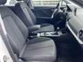 Audi Q2 35 TDI Advanced S tronic 110kW Blanco - thumbnail 12