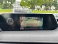 Lexus UX 250h Style Edition *LED*CarPlay*Kamera*SHZ* Argent - thumbnail 27