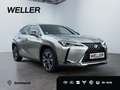 Lexus UX 250h Style Edition *LED*CarPlay*Kamera*SHZ* Argent - thumbnail 4