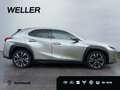 Lexus UX 250h Style Edition *LED*CarPlay*Kamera*SHZ* Argent - thumbnail 9