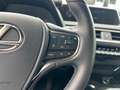 Lexus UX 250h Style Edition *LED*CarPlay*Kamera*SHZ* Argent - thumbnail 25