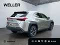 Lexus UX 250h Style Edition *LED*CarPlay*Kamera*SHZ* Argent - thumbnail 18