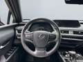 Lexus UX 250h Style Edition *LED*CarPlay*Kamera*SHZ* Argent - thumbnail 12