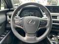 Lexus UX 250h Style Edition *LED*CarPlay*Kamera*SHZ* Argent - thumbnail 13