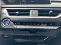Lexus UX 250h Style Edition *LED*CarPlay*Kamera*SHZ* Argent - thumbnail 26