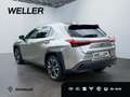 Lexus UX 250h Style Edition *LED*CarPlay*Kamera*SHZ* Argent - thumbnail 7