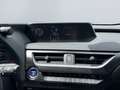 Lexus UX 250h Style Edition *LED*CarPlay*Kamera*SHZ* Argent - thumbnail 15