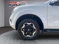 Nissan Navara Navara 2.3 dci d.cab N-Connecta 4wd 163cv my19 Bianco - thumbnail 8
