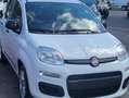 Fiat Panda 1200 EASY STUPENDE IN TUTTO KM CERTIFICATI Bianco - thumbnail 1