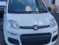 Fiat Panda 1200 EASY STUPENDE IN TUTTO KM CERTIFICATI Bianco - thumbnail 9