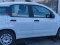 Fiat Panda 1200 EASY STUPENDE IN TUTTO KM CERTIFICATI Bianco - thumbnail 10
