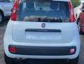 Fiat Panda 1200 EASY STUPENDE IN TUTTO KM CERTIFICATI Bianco - thumbnail 6
