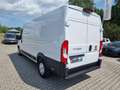 Fiat Ducato Ducato Maxi 35 L5H2 140 MJet Automatik | Sofort Weiß - thumbnail 3