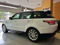 Land Rover Range Rover Sport 3.0SDV6 HSE Aut. Blanc - thumbnail 8