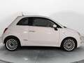 Fiat 500 1.3 mjt Lounge 95cv Weiß - thumbnail 4