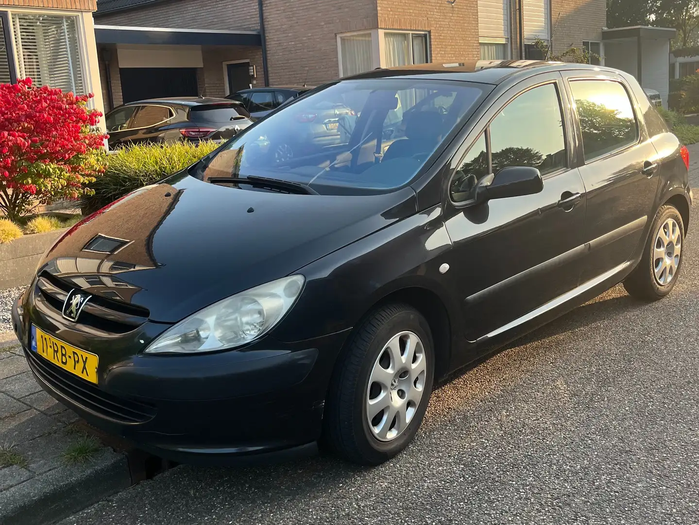 Peugeot 307 307 1.6-16V XS - 1