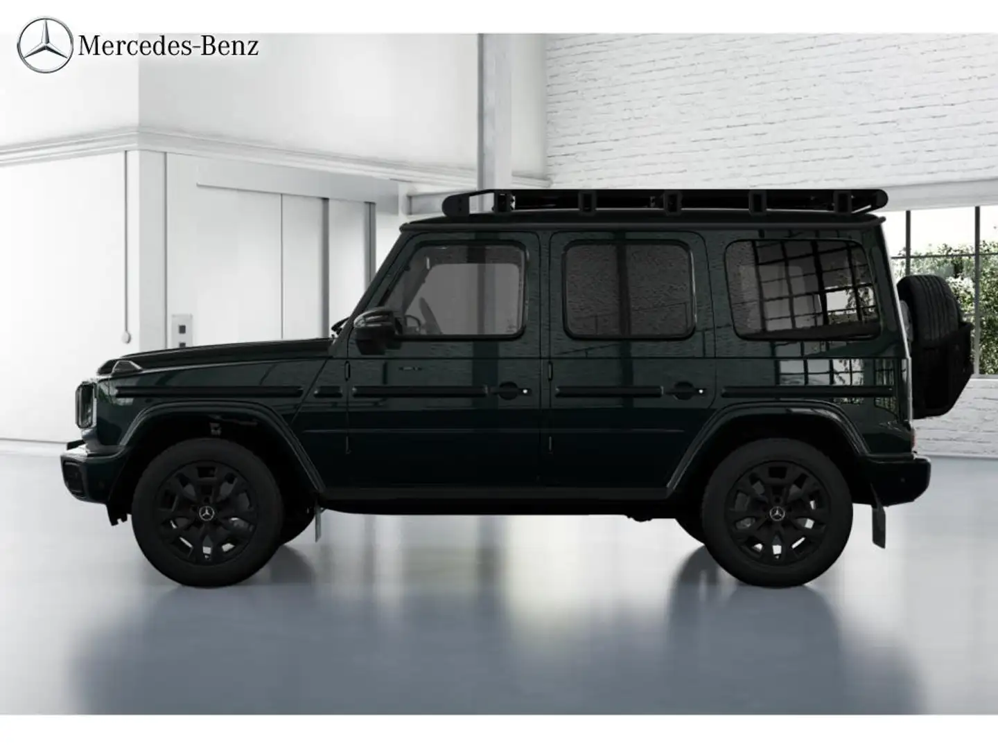 Mercedes-Benz G 450 d Professional+RüKam+AHK+Standhzg+Gepäcktr Grün - 2