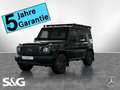 Mercedes-Benz G 450 d Professional+RüKam+AHK+Standhzg+Gepäcktr Grün - thumbnail 1