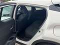 Toyota C-HR Flow 1.2 Turbo Klima DAB Spurhalteass. AHK Weiß - thumbnail 11