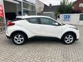 Toyota C-HR Flow 1.2 Turbo Klima DAB Spurhalteass. AHK Weiß - thumbnail 6