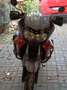 Honda XL 1000 Rot - thumbnail 16