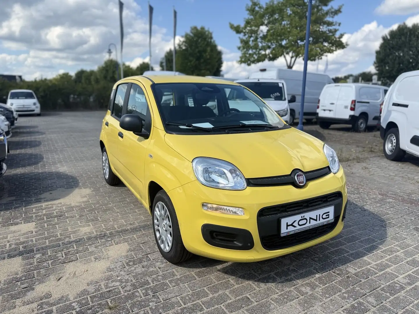 Fiat Panda MY25 1.0 70PS Eurostar Klima PDC Gelb - 1