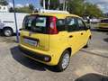 Fiat Panda MY25 1.0 70PS Eurostar Klima PDC Gelb - thumbnail 4