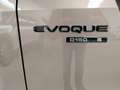 Land Rover Range Rover Evoque Range Rover Evoque 2.0D I4-L.Flw 150 CV R-Dynamic Oro - thumbnail 13