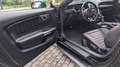 Ford Mustang 2021  Ecob. MACH1 Optik Leder Navi Sitzheizung Siyah - thumbnail 4