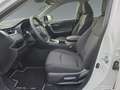 Toyota RAV 4 RAV4 2.5 Hybrid Business Edition +Navi+Kamera+LED Weiß - thumbnail 10