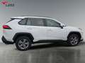 Toyota RAV 4 RAV4 2.5 Hybrid Business Edition +Navi+Kamera+LED Wit - thumbnail 7