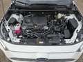 Toyota RAV 4 RAV4 2.5 Hybrid Business Edition +Navi+Kamera+LED Wit - thumbnail 18