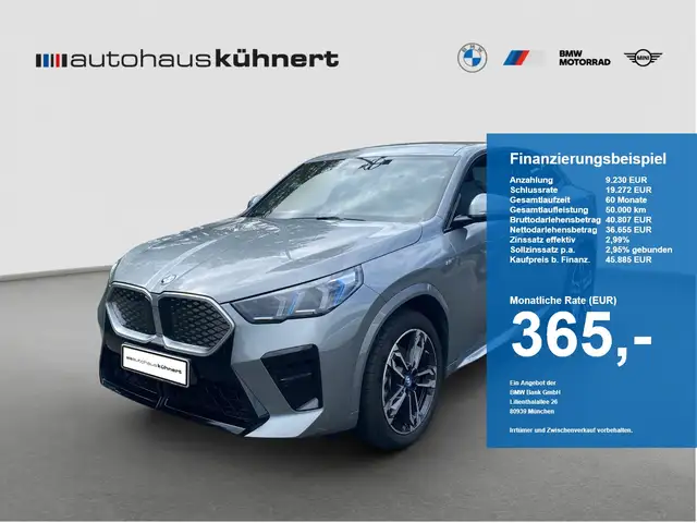 BMW iX2 xDrive30 M-Sport ACC SpurAss 360° AHK