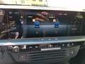 Opel Grandland Electric 73kWh AWD Ultimate PDC+HUD Grau - thumbnail 16