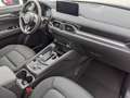 Mazda CX-5 2.5l Ad´vantage AWD Automatik Navi NEU Blanc - thumbnail 14