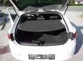 SEAT Leon Leon Style 1,6 TDI Style Weiß - thumbnail 23