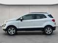 Ford EcoSport Ecosport Blanc - thumbnail 2