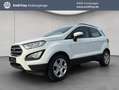 Ford EcoSport Ecosport Blanc - thumbnail 1