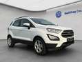 Ford EcoSport Ecosport Blanc - thumbnail 8