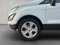 Ford EcoSport Ecosport Blanc - thumbnail 17