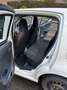 Suzuki Alto Alto 1.0i GL Airco Star Blanc - thumbnail 2