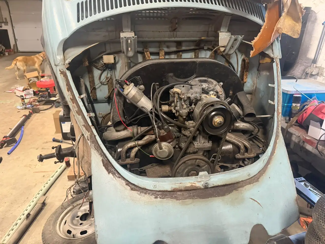 Volkswagen Kever, foto 6