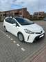 Toyota Prius+ Blanco - thumbnail 2