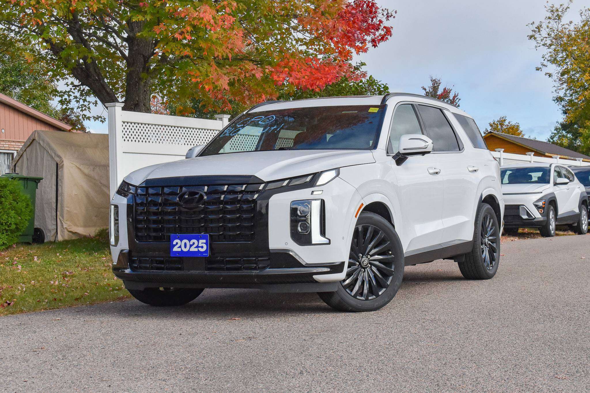 White 2025 Hyundai Palisade SUV / Crossover  Automatic