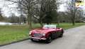 Austin-Healey 100 AUSTIN-HEALEY 3000 Gerestaureerd en scherp geprijs Rot - thumbnail 1