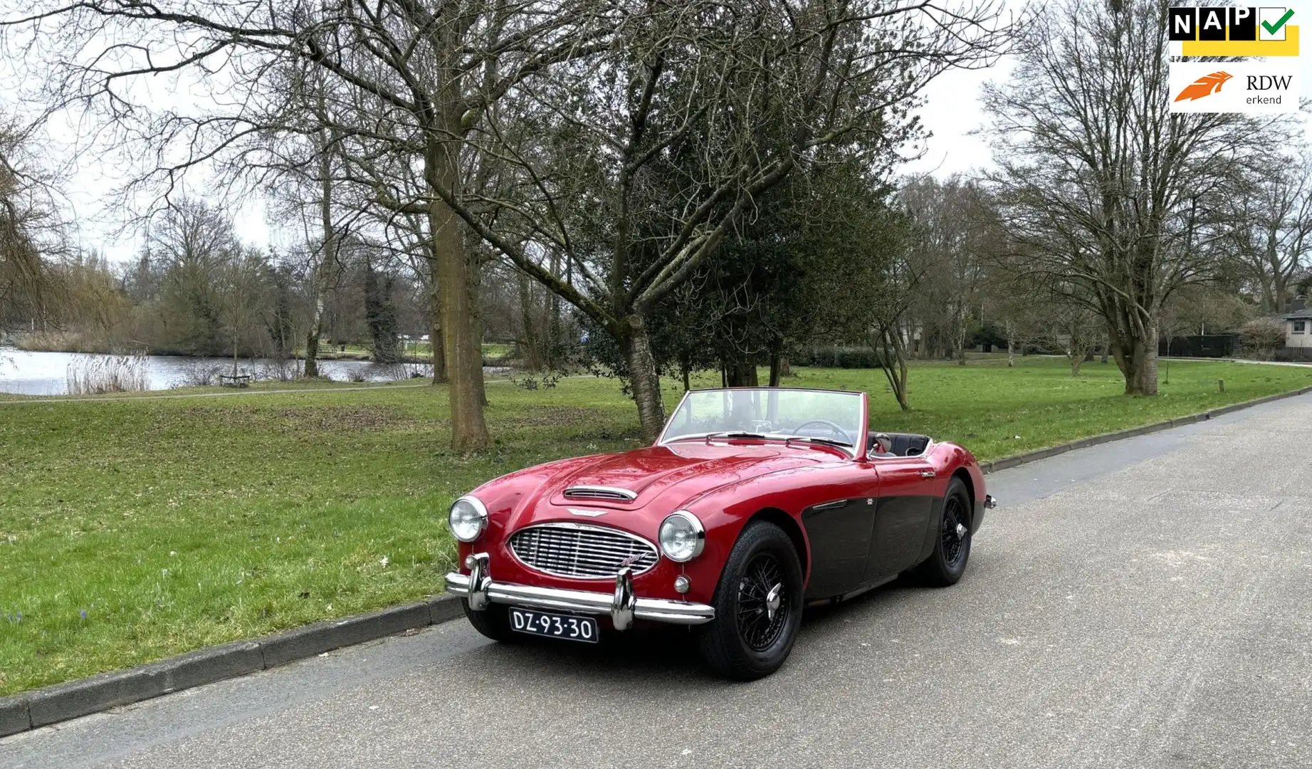 Austin-Healey 100 AUSTIN-HEALEY 3000 Gerestaureerd en scherp geprijs Rot - 1